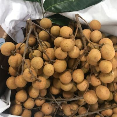 Longan/ Nhãn